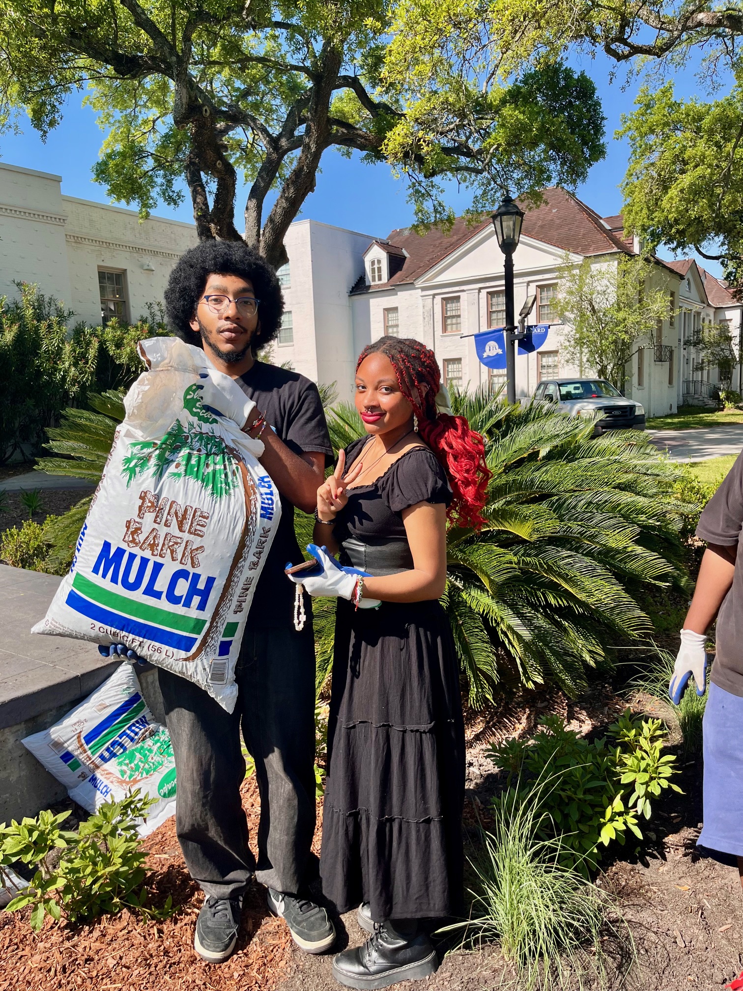 Strategies & action plans - City of Sydney