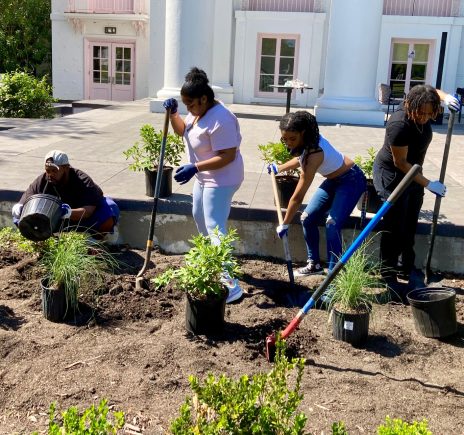 KLB Beautification 9