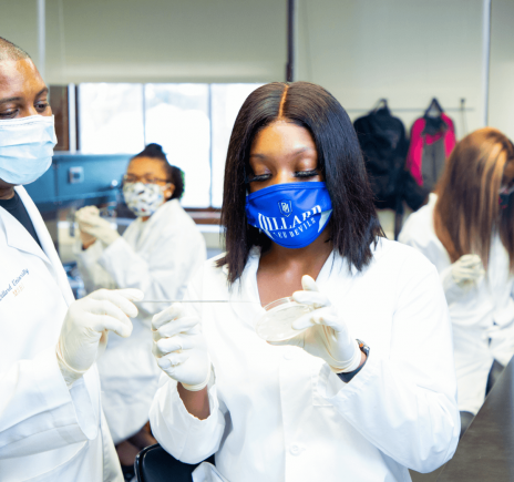 Students in Dillard University biology lab