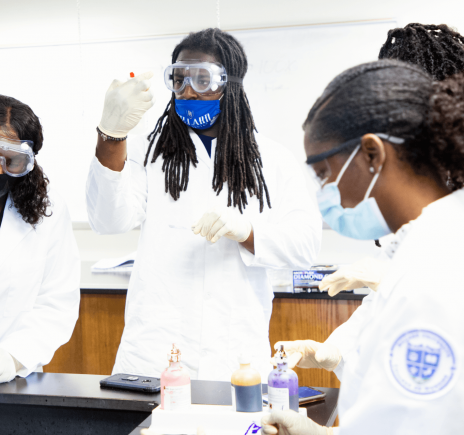 Dillard University Academics