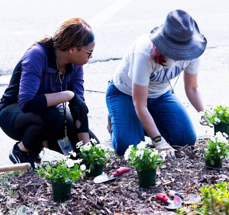 Beautify Bleu: Building a Sustainable and Beautiful Future