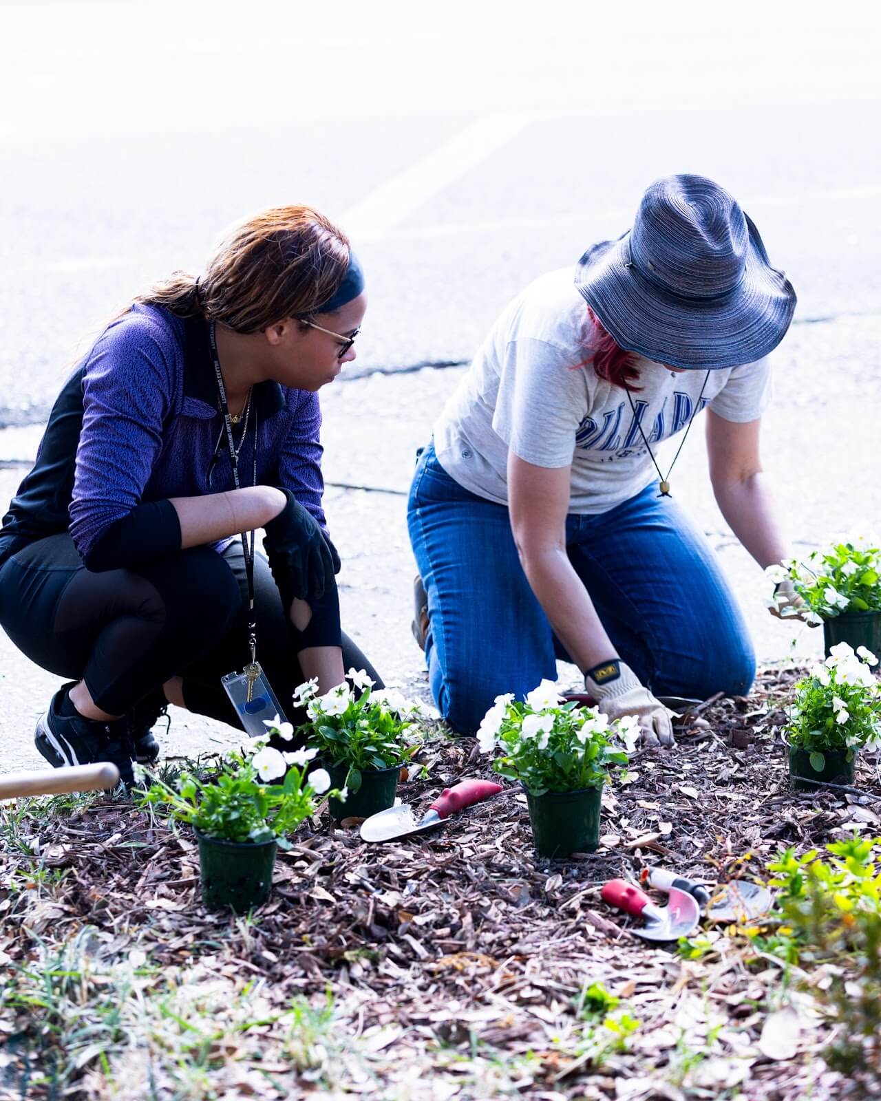 Beautify Bleu: Building a Sustainable and Beautiful Future